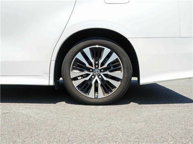 ALPHARD-18