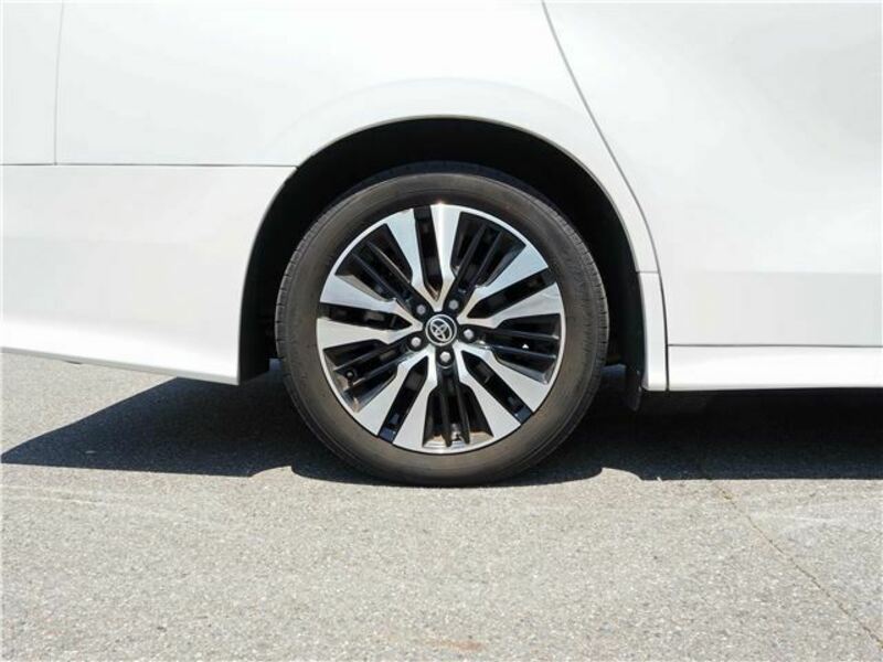 ALPHARD-19