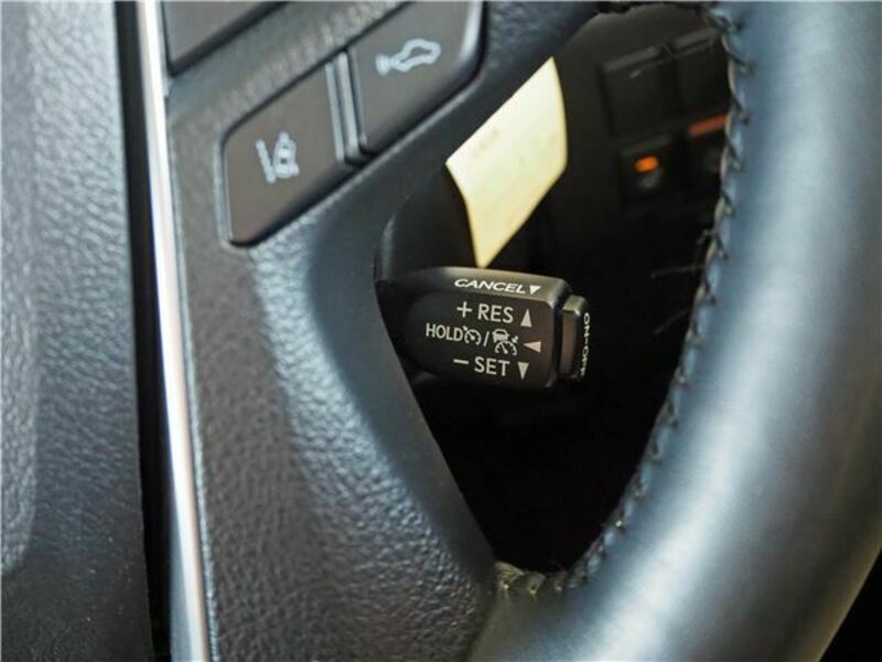 ALPHARD-25
