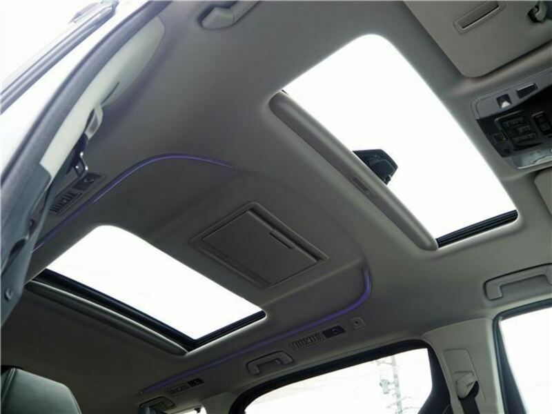ALPHARD-28