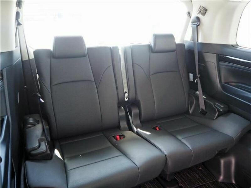 ALPHARD-42