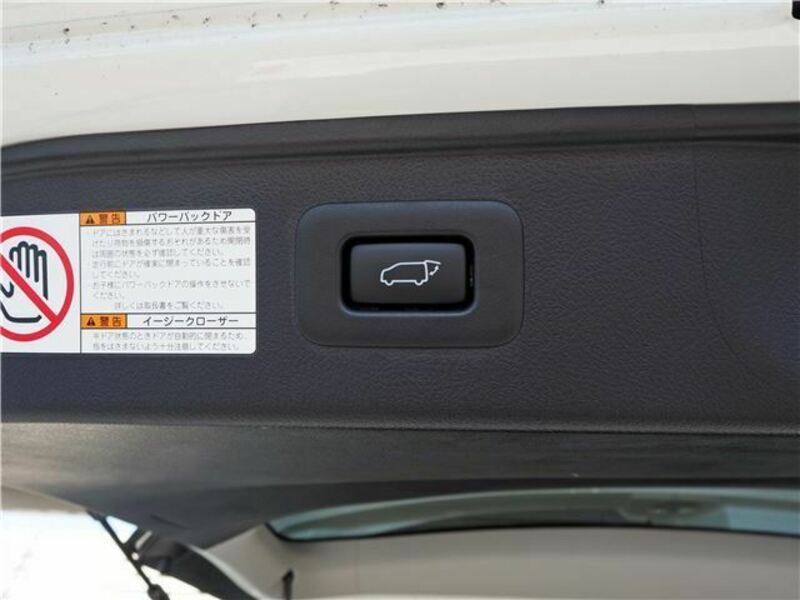 ALPHARD-46