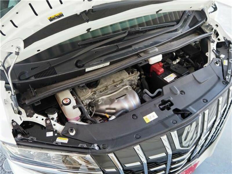 ALPHARD-47