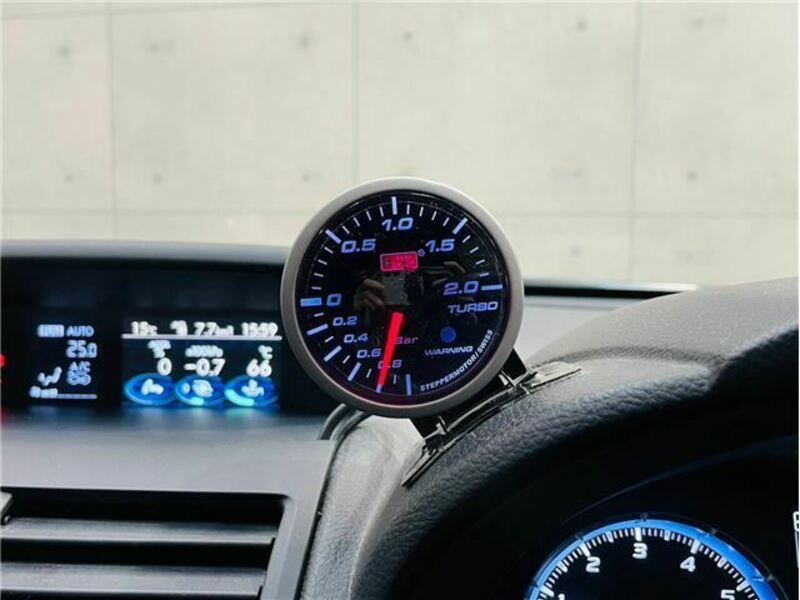 LEVORG