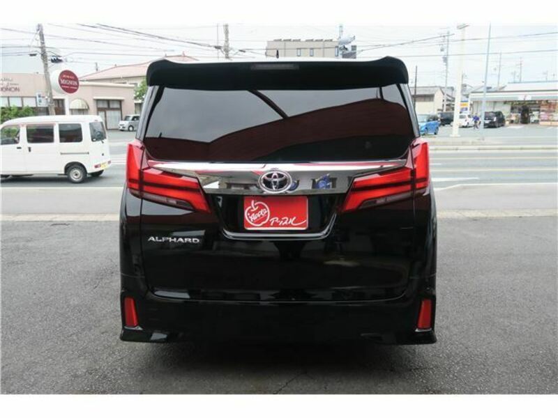 ALPHARD-6