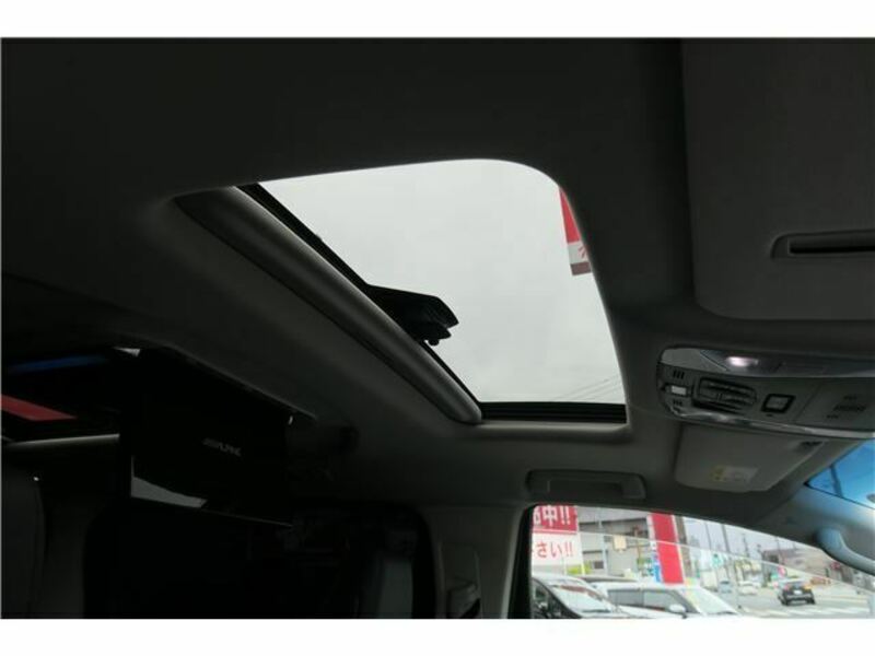 ALPHARD-11