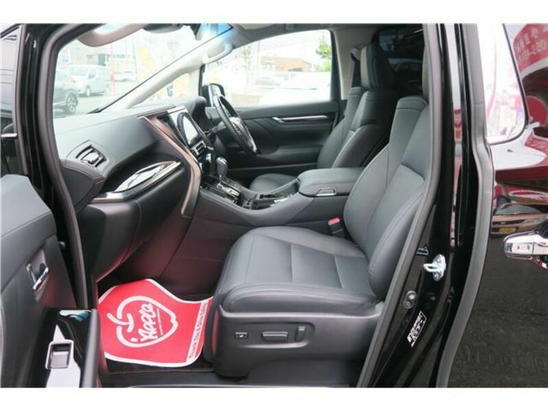 ALPHARD-15