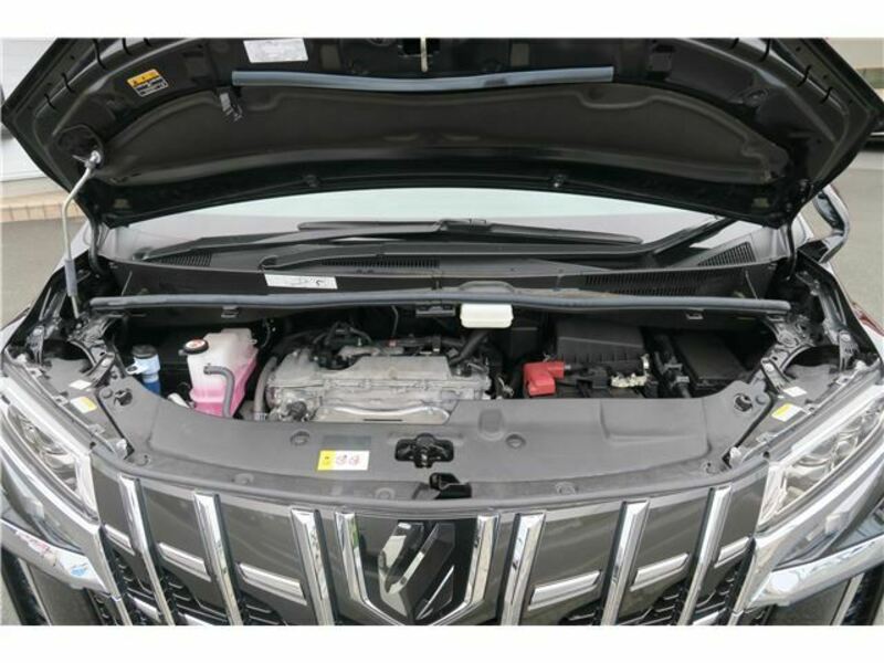 ALPHARD-18