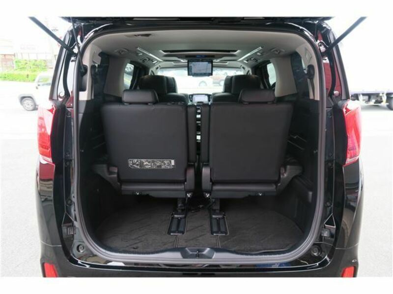 ALPHARD-41
