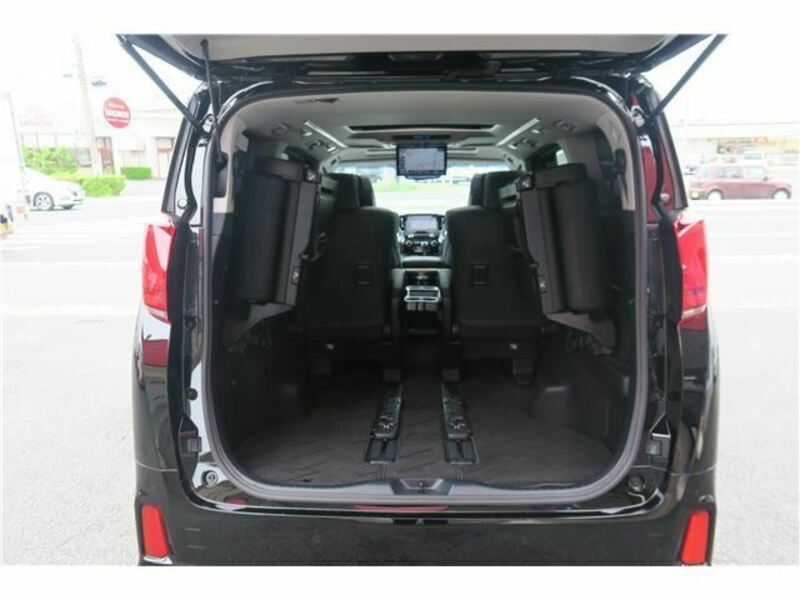 ALPHARD-42