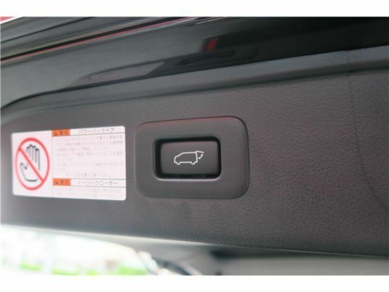 ALPHARD-43