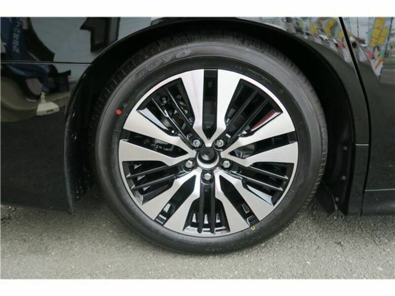 ALPHARD-44