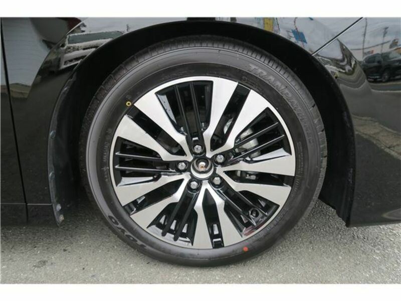 ALPHARD-45
