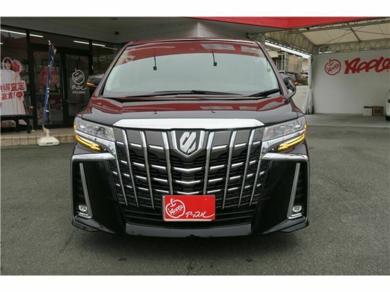 ALPHARD-49
