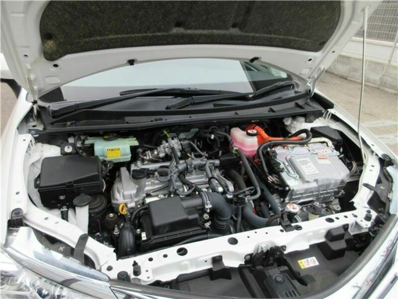 COROLLA FIELDER