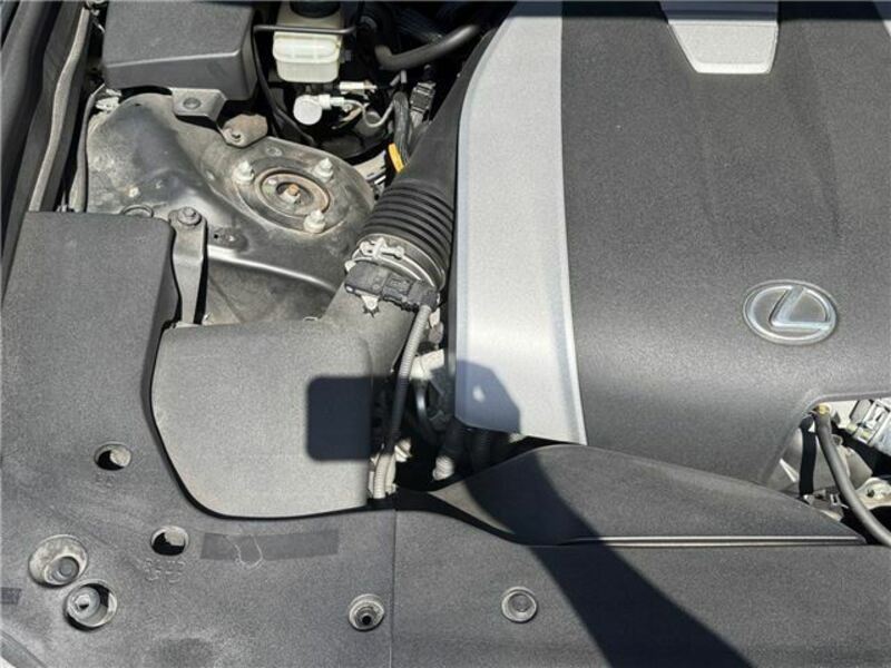 GS-44