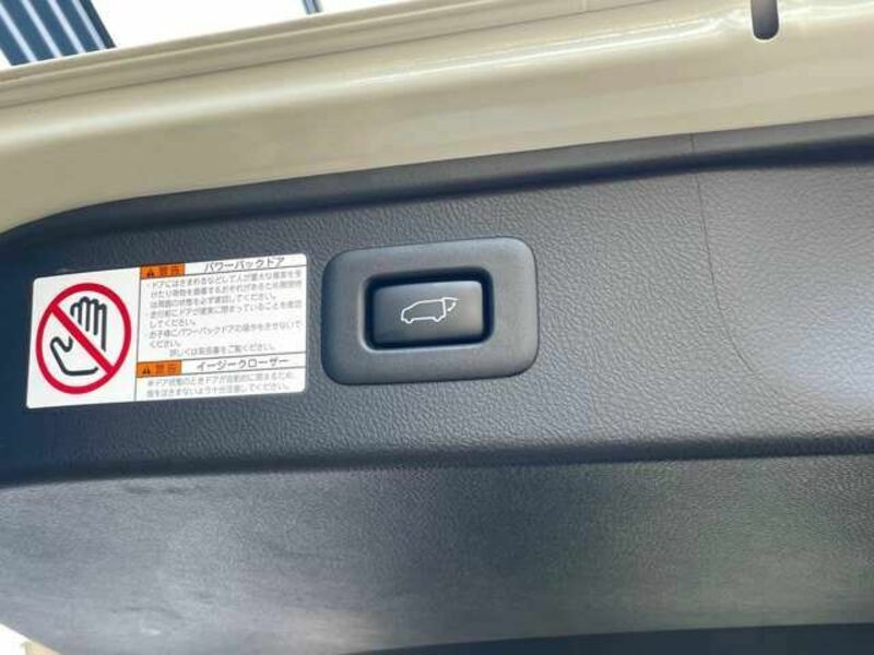 ALPHARD-11