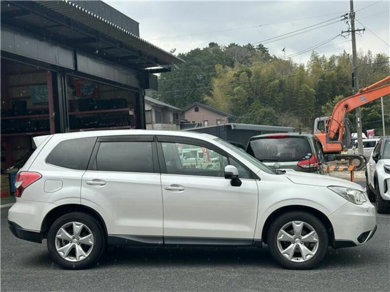 FORESTER