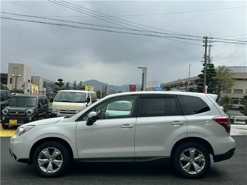 FORESTER