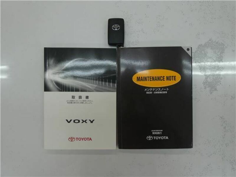 VOXY-31