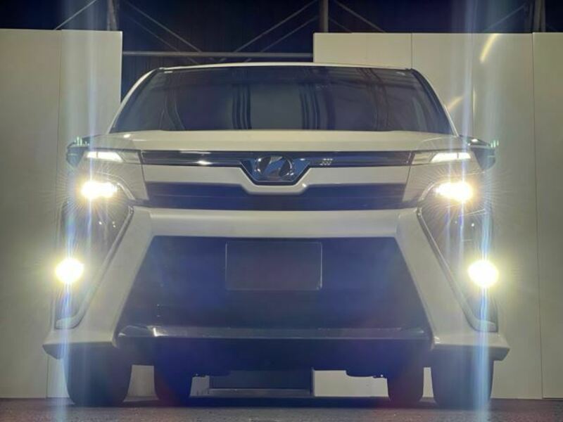 VOXY-7