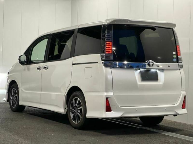 VOXY-10