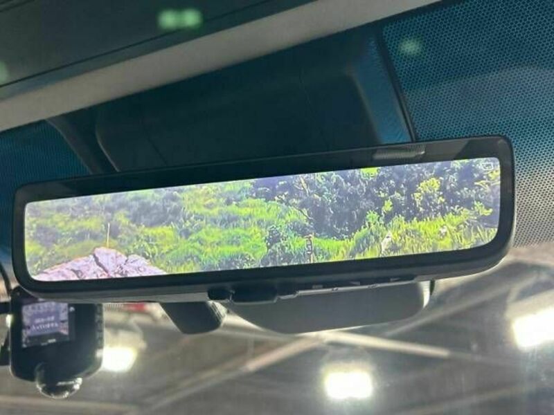 ALPHARD-6
