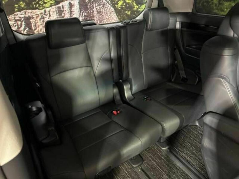 ALPHARD-10