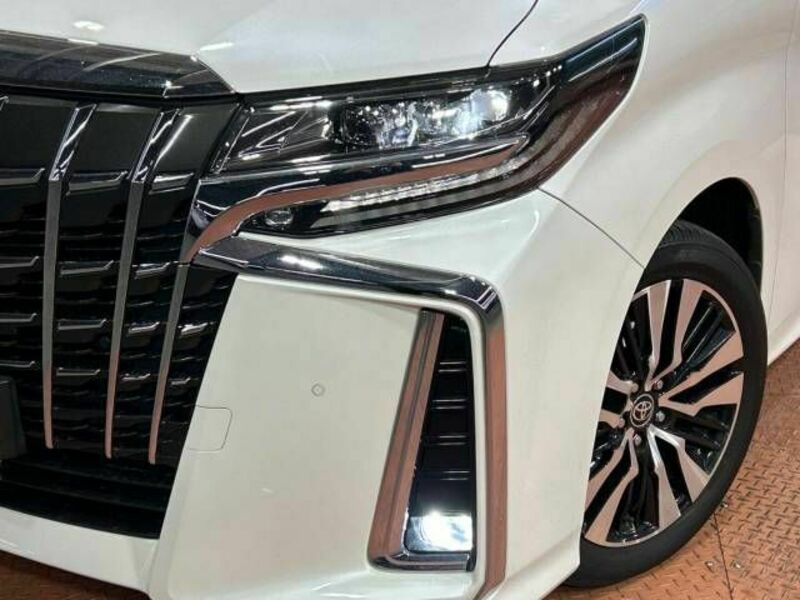 ALPHARD-13