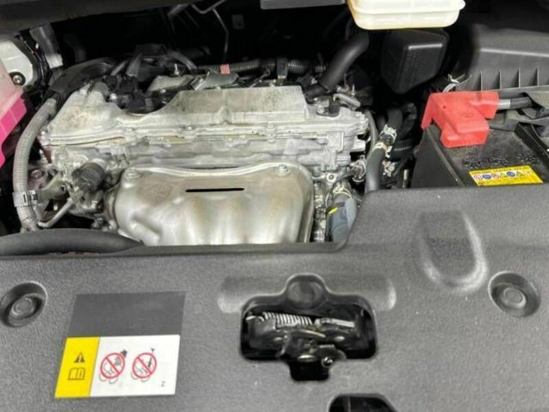 ALPHARD-18