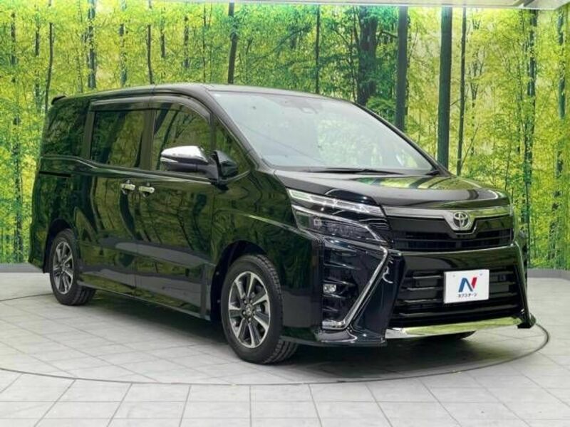 VOXY-17