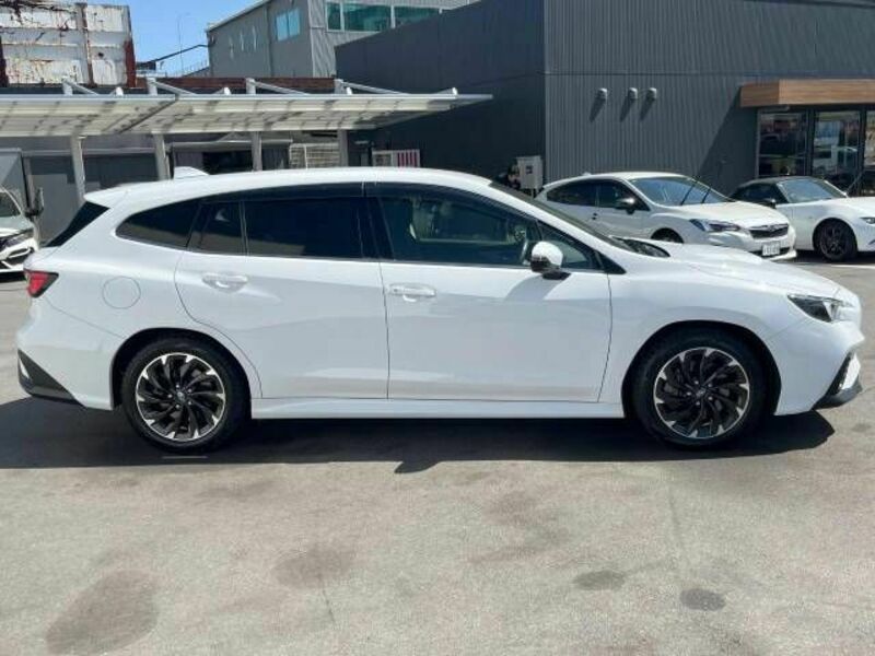 LEVORG