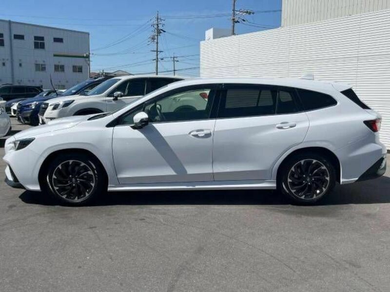 LEVORG