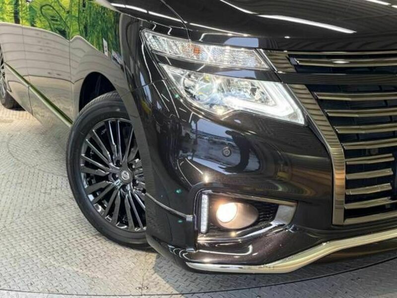 ELGRAND-12