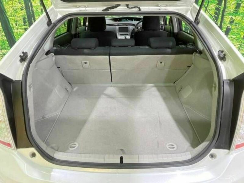 PRIUS-10