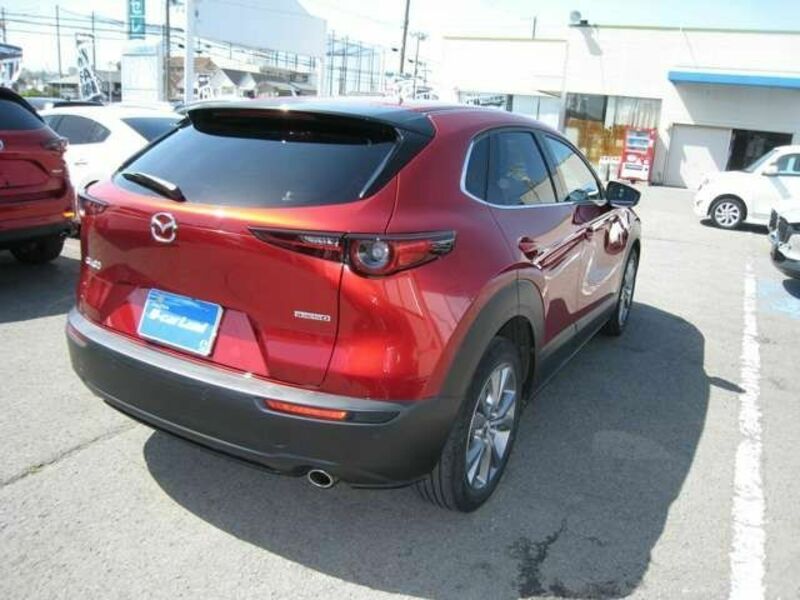 CX-30
