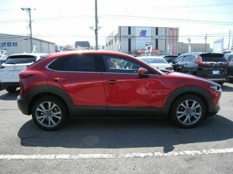 CX-30