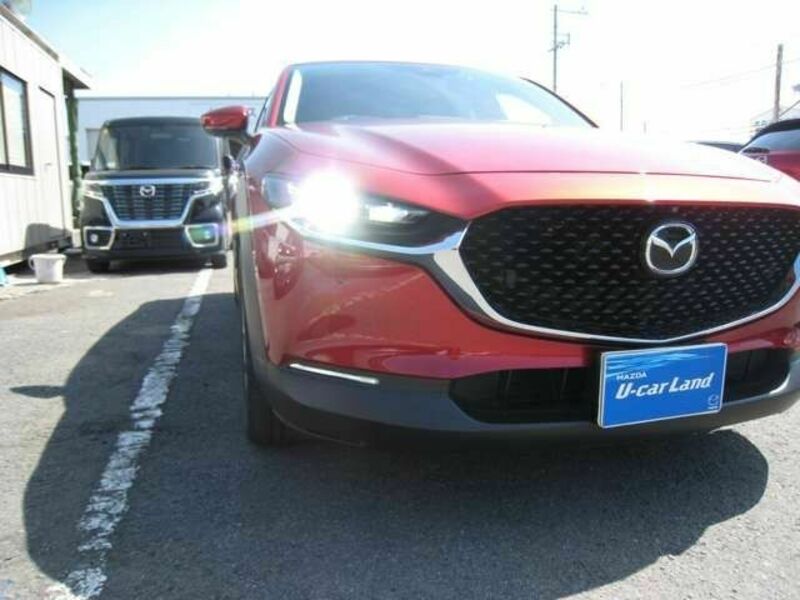 CX-30