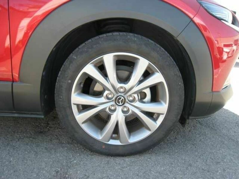 CX-30
