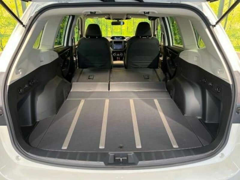 FORESTER-10