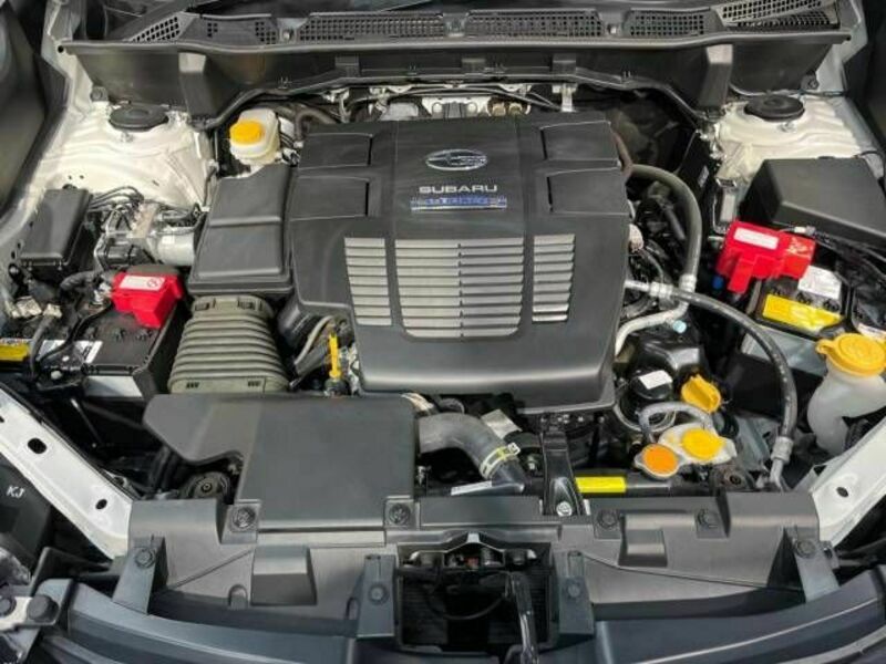 FORESTER-17