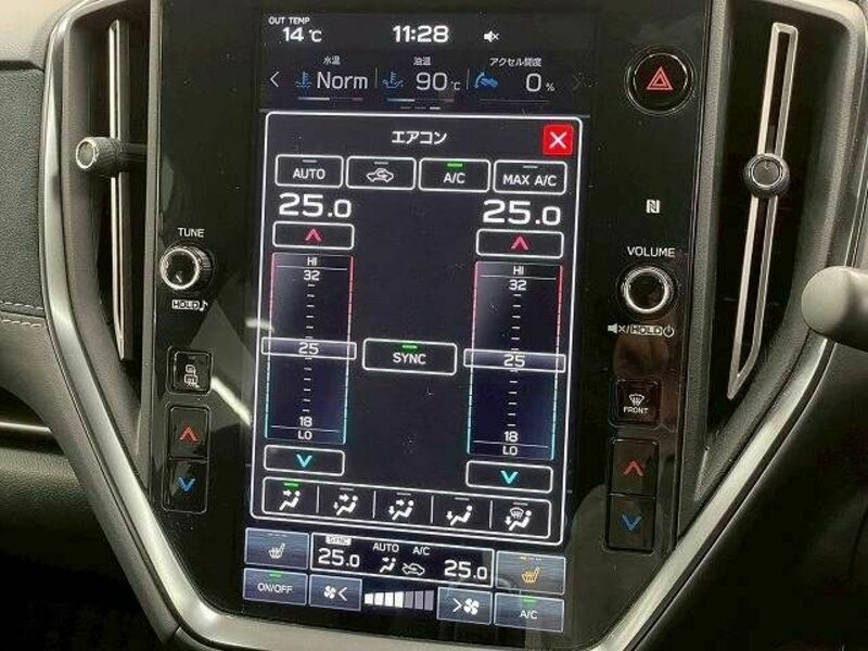LEVORG