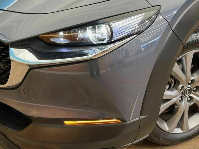 CX-30