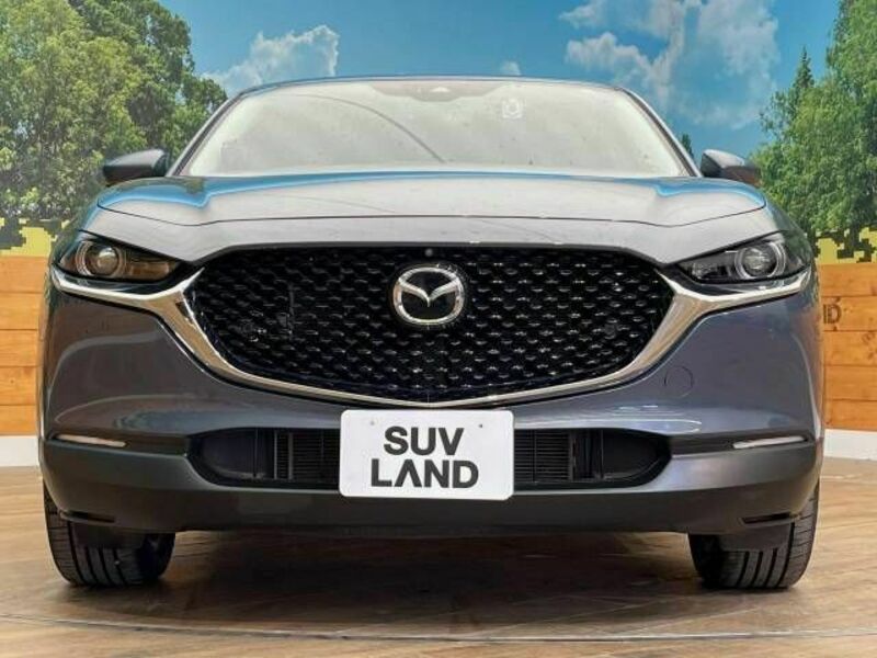 CX-30