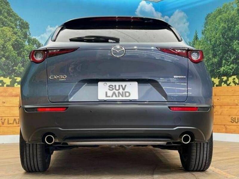CX-30