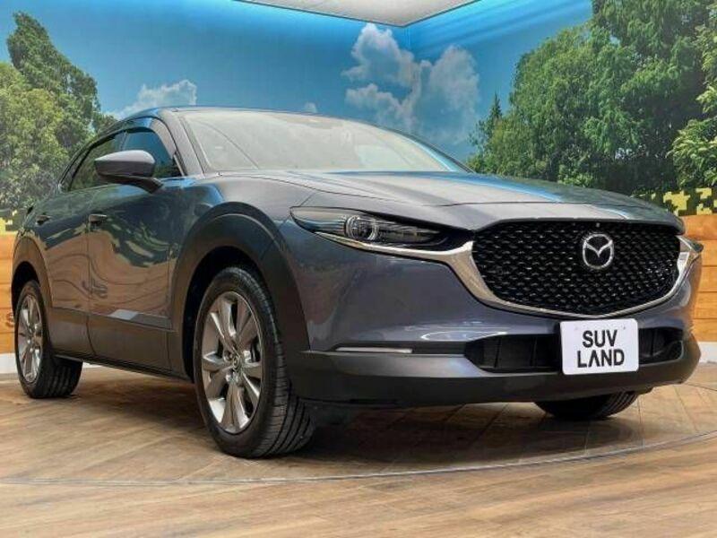 CX-30