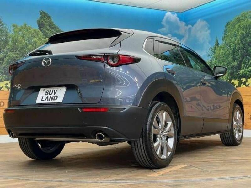 CX-30