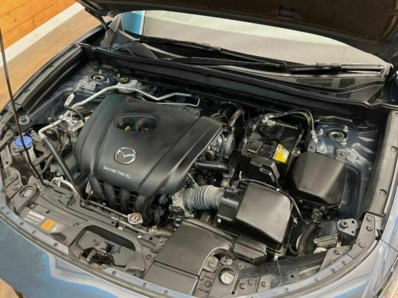 CX-30
