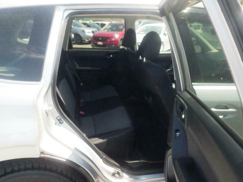 FORESTER