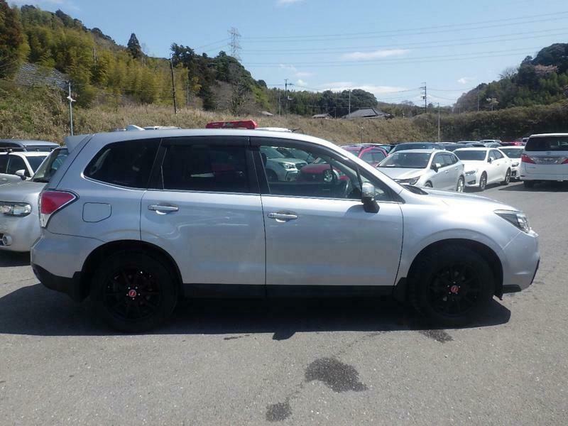 FORESTER